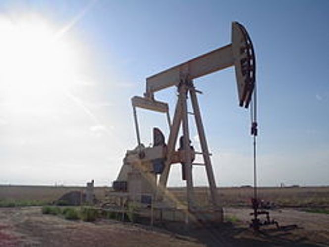 Nefti parçalayan bakteriyalar aşkarlandı