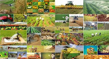 Koronavirus kəndlini torpaqdan uzaqlaşdıra bilirmi? - ƏSLİNDƏ...