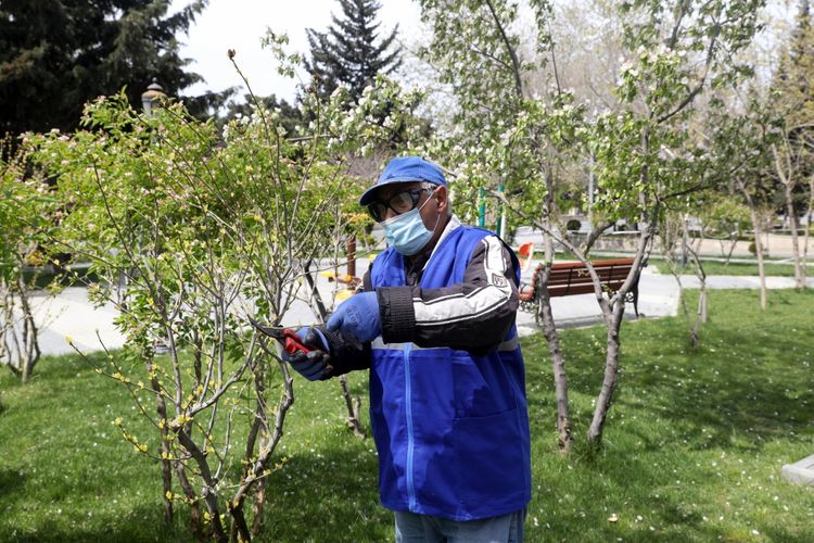 Ödənişli içtimai işlərin sayı 50 mini keçdi