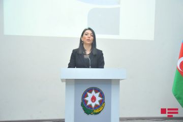"Əlilliyin qiymətləndirilməsi ilə bağlı təklif  həllini tapmalıdır” - Ombudsman