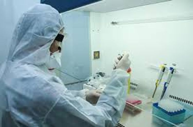 Yeni laboratoriyaların açılması nəzərdə tutulur - TƏBİB