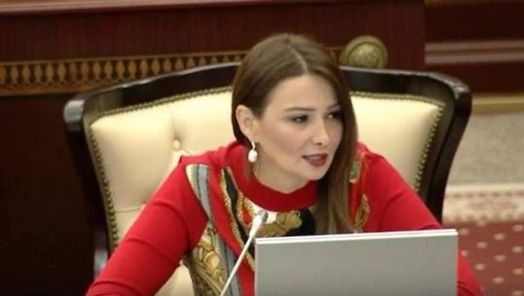 Qənirə Paşayeva da 190 manatın verilməsinin tərəfdarıdır