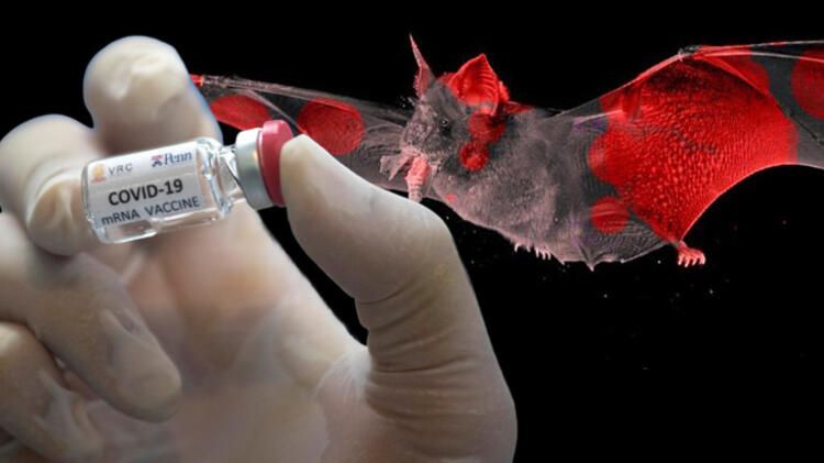 Türkiyə parlamentində koronavirus həyəcanı - 35 NƏFƏR YOLUXDU