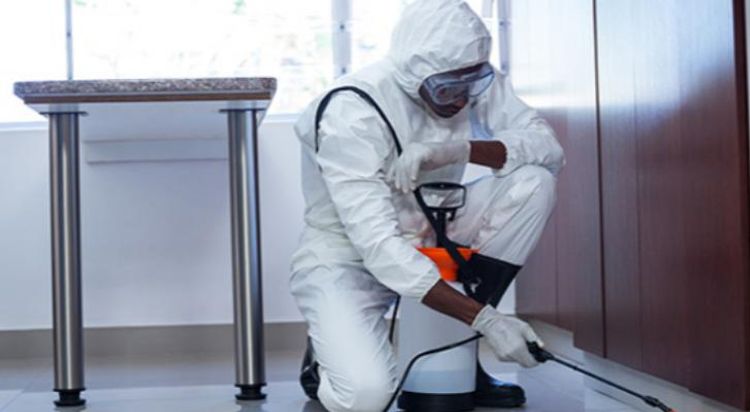 Bu evlər mütləq dezinfeksiya olunmalıdır - AÇIQLAMA