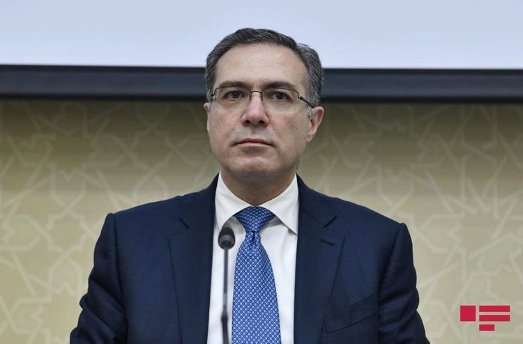 Prezidentin köməkçisindən ÇAĞIRIŞ: "Hamı bir az da səbrli olmalıdır"
