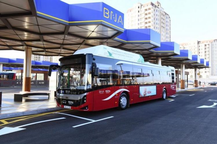 Bakıda REKORD: xətlərə bu qədər avtobus çıxarıldı