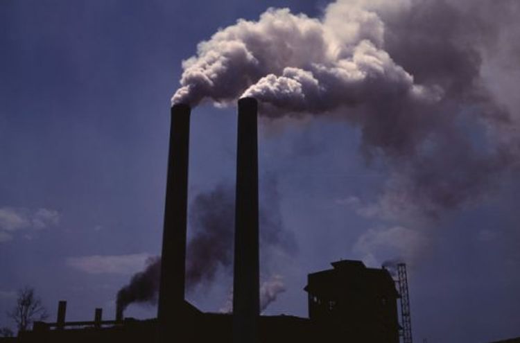 Havanı çirkləndirən idarənin məmuru cəzalandı