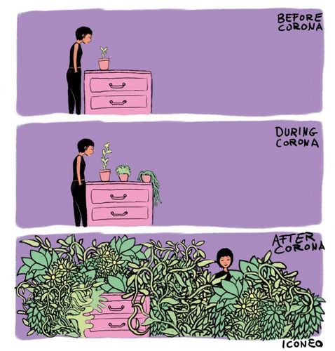 Epidemiyanın bədii ifadələri