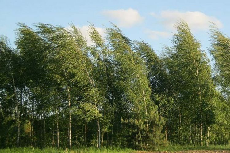 Sabahın havası: BU İNSANLAR DİQQƏTLİ OLSUNLAR