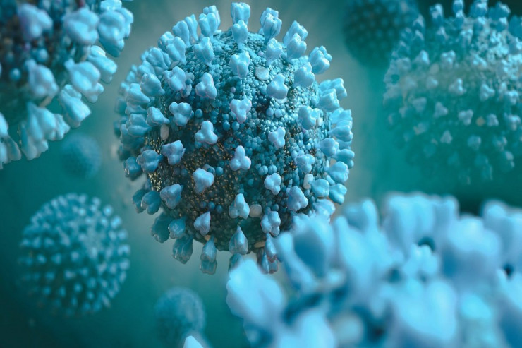 Koronavirus insan beyninə necə daxil olur? - MÜKƏMMƏL TƏDQİQAT 