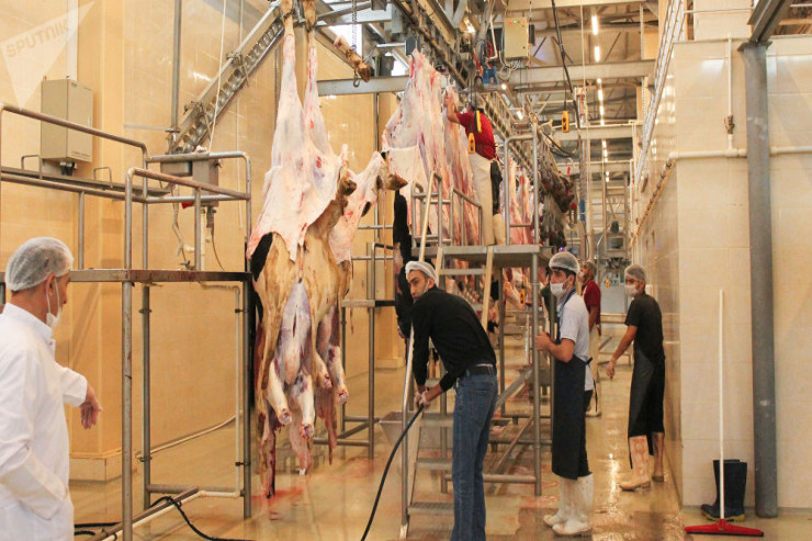 İşğaldan azad edilən ərazilərdə heyvan kəsimi məntəqələri yaradılacaq