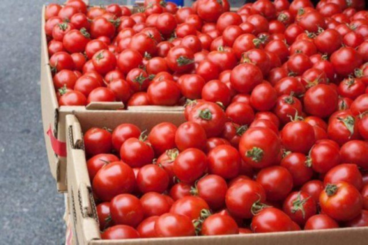 Rusiya Ermənistandan pomidor idxalına qadağa qoydu