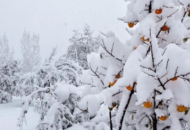 Bakıda 4 dərəcə şaxta olacaq - PROQNOZ