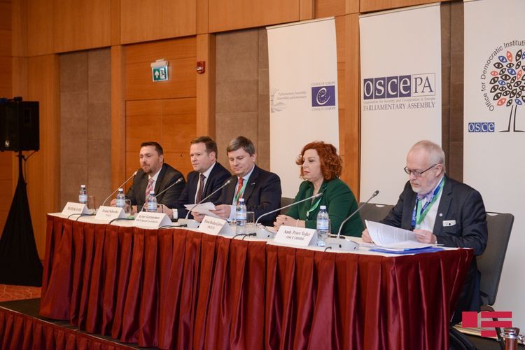 ATƏT və AŞPA müşahidəçilərinin parlament seçkiləri ilə bağlı RƏYİ - YENİLƏNİB