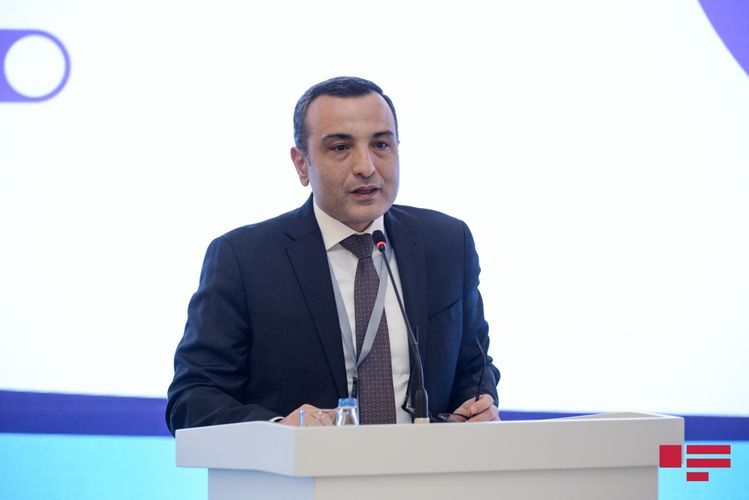 "18 yaşına kimi tam ödənişsizdir" - Şöbə müdiri icbari tibbi sığortadan danışdı