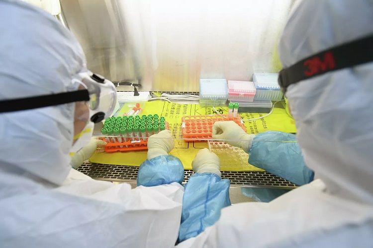 ABŞ-da koronavirus daşıyıcılarının sayı artıb
