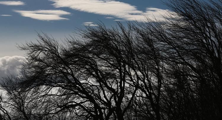 Neft Daşlarında dalğanın hündürlüyü yüksəldi - FAKTİKİ HAVA