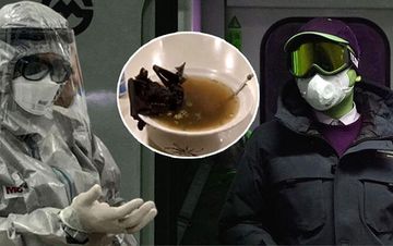 Azərbaycanlı həkim koronavurusla bağlı DƏRMAN tapdı