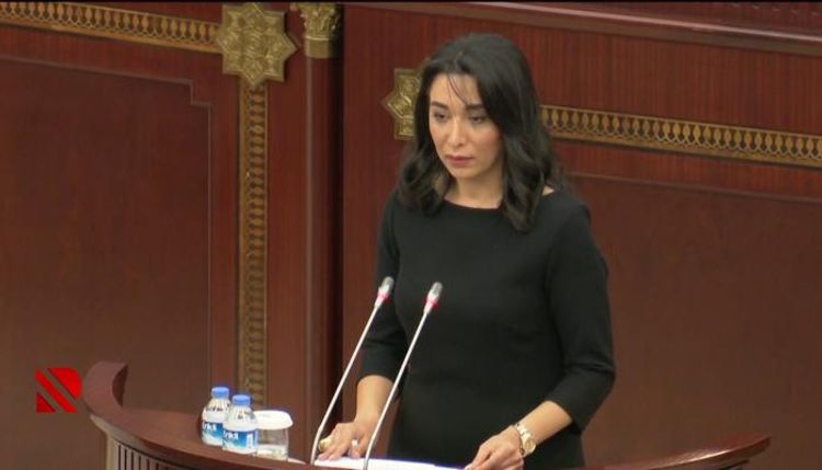 Ombudsman 2019-cu il üzrə məruzəsini təqdim edib