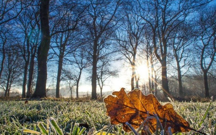 Fevralın son günü hava necə olacaq? – PROQNOZ