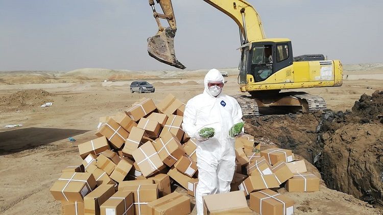 Çindən gətirilən külli miqdarda kivi qurusu məhv edildi