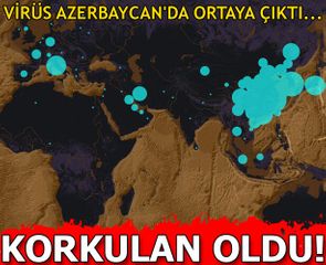 Bir sutkada 6 ölkədə koronavirus aşkarlandı 