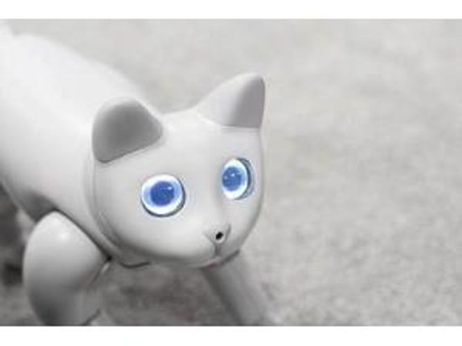 Əhliləşən robot pişik - Bu qiymətə sifariş edə bilərsiniz