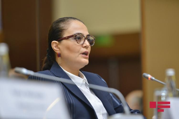 "Seçkilər daha peşəkar deputat korpusunun formalaşmasına hədəflənib" - RƏSMİ