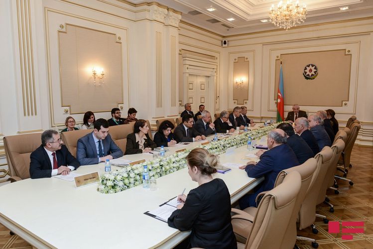 Gülər Əhmədovanın deputatlığa namizədliyi qeydə alınmadı