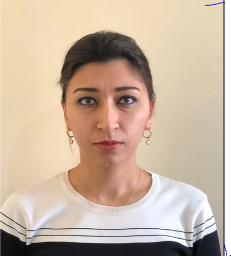  Elmira Fərzəliyeva namizədliyini geri götürdü – AZAY QULİYEVİN xeyrinə