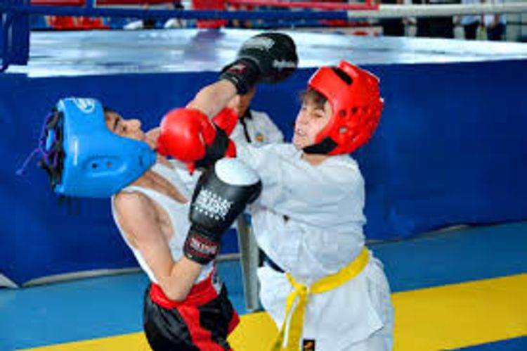 Bakı məktəbliləri ötən il  993 medal qazanıblar