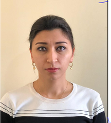  Elmira Fərzəliyeva namizədliyini geri götürdü – AZAY QULİYEVİN xeyrinə