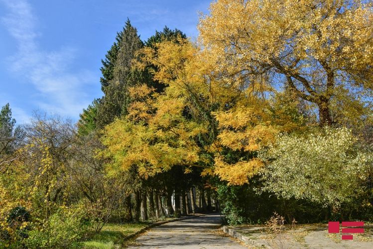 Bazar günü hava necə olacaq?