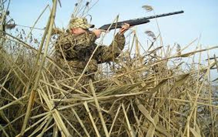 İcazəsiz ov edənlər cəzalandırıldı