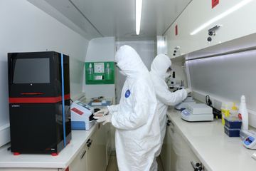  Azərbaycanda "quş qripi" varmı? - AÇIQLAMA