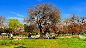 Havanın temperaturu yüksəlir - PROQNOZ