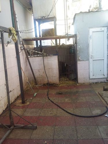 İki rayonda qanunsuz ət kəsimi məntəqələri aşkarlandı