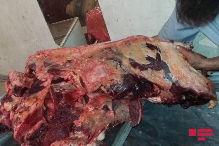 Bakıda 150 kiloqram yararsız at əti aşkarlanıb - FOTO