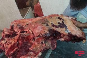 Bakıda 150 kiloqram yararsız at əti aşkarlanıb - FOTO
