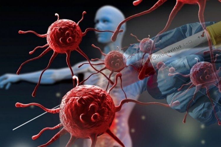 Koronavirusdan sağalanlarda hansı pozuntu yaranır? - Virusologiya İnstitutu