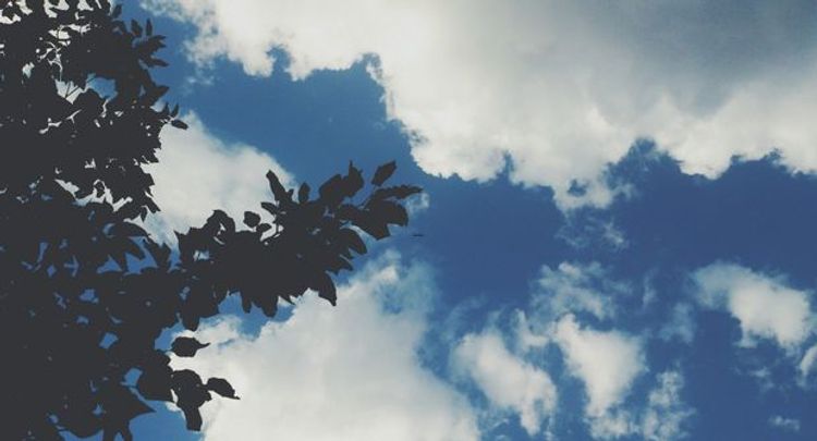 Sabahın HAVA PROQNOZU