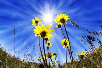 Sabah 38 dərəcə isti olacaq - PROQNOZ