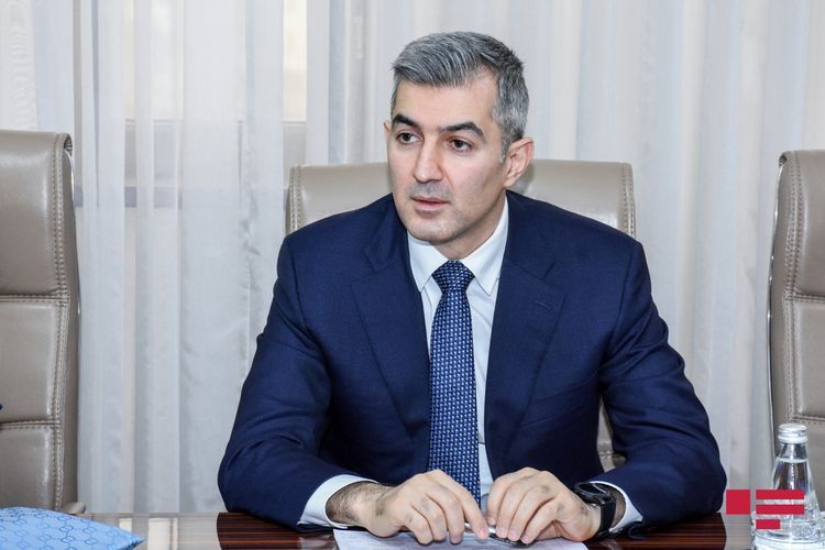 Deportasiya qərarı verilən şəxslər Almaniyadan geri qaytarılacaq - RƏSMİ