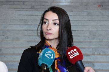 Leyla Abdullayeva: "Absurd mövqeyi ilə Ermənistan tərəfi özünü kifayət qədər gülünc vəziyyətə qoyur”