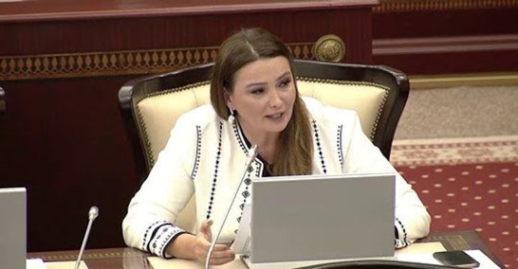Qənirə Paşayevadan yeni parlamentlə bağlı ilk AÇIQLAMA