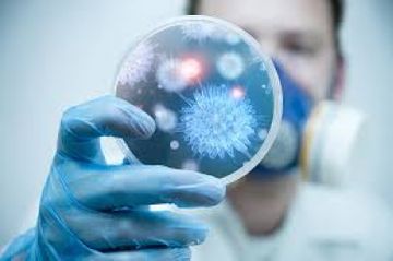 Koronavirus qulaq, burun, boğazda bu FƏSADLARI yarada bilir