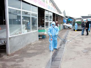 Şəkidə geniş dezinfeksiya tədbirləri aparılır