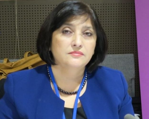 "Hərdən mənə "cənab sədr" kimi də müraciət edirlər" - Sahibə Qafarova