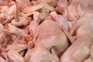 Zərərli məhlul vurularaq çəkisi artırılan toyuqlar: "Təhlükə daha da artacaq" - Rəsmi AÇIQLAMA