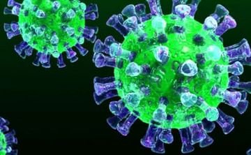 Azərbaycanda daha 50 nəfərdə koronavirus aşkarlanıb, 40 nəfər sağalıb, 1 nəfər vəfat edib